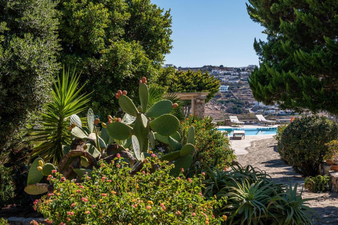 Yalos Mykonos Ornos Pouli Private Apartments W Shared Swimming Pool Mykonos Town Zewnętrze zdjęcie